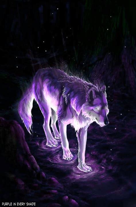 Purple Изображения волков Волчак Мифические существа