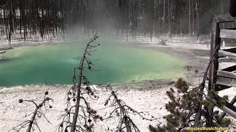 Geothermal Areas At Yellowstone National Park Youtube