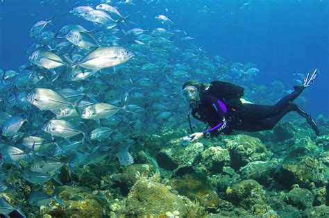 BEST DIVING SPOT IN BALI ~ Bali Island Information Center