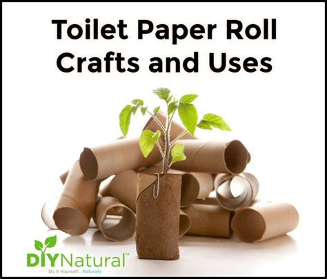 Toilet Paper Roll Crafts 25 Ideas For Crafts And Other Creative Uses