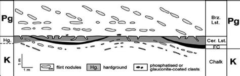 Details Of The Kpg Cretaceouspaleogene Boundary Interval At Stevns