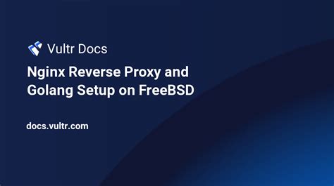 Nginx Reverse Proxy And Golang Setup On FreeBSD Vultr Docs