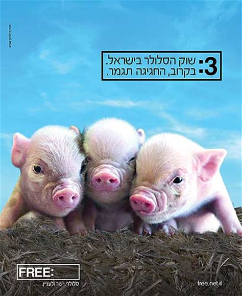 Jun 08, 2021 · מדענים בחטיבה z של המעבדה הלאומית בקליפורניה כתבו בדוח במאי 2020, כי ראוי לחקור את הסברה שהנגיף הקטלני דלף. מודעת פרסומת: סלקום, פרטנר ופלאפון חזירים