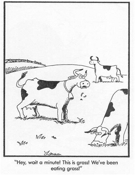 Gary Larsons 10 Funniest Far Side Comics About Cows
