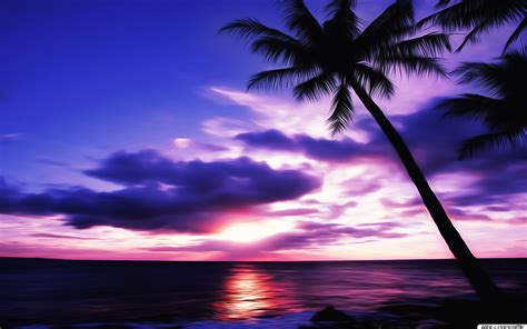 Die 69 Besten Schöne Hintergrundbilder Mit Sonnenuntergang
