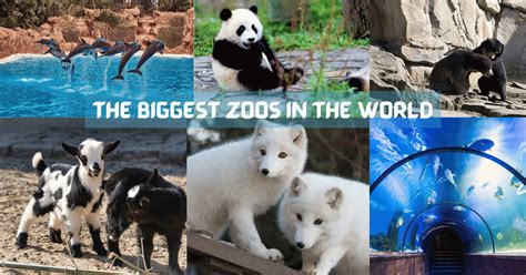 The Biggest Zoos In The World Knowladgey