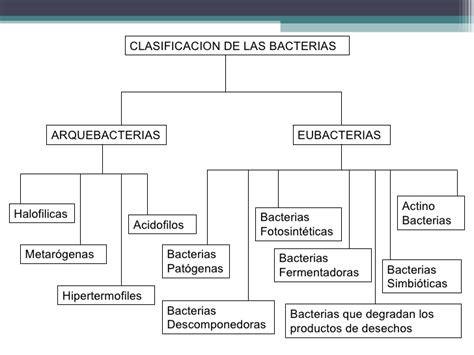 Cuadros Comparativos Virus Vs Bacterias Cuadro Comparativo