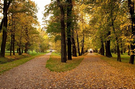 Autumnfall Weather And Events Guide In St Petersburg Russia
