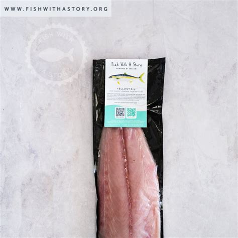 Vacuum Packed Fillets Wild Caught South African Yellowtail Amberjack