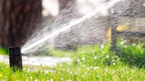 9 Best Irrigation System For Lawns Jan 2024 Reviews And Buying Guide