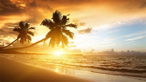 Caribbean Sunset Wallpapers Top Free Caribbean Sunset Backgrounds