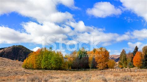 Autumn In Sun Valley Stock Photo Royalty Free Freeimages