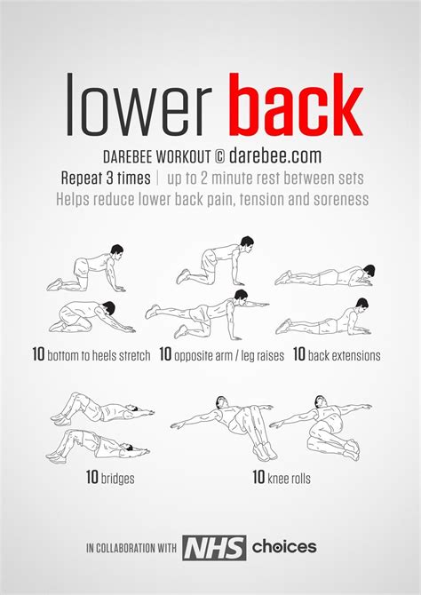 Lower Back Workout Lower Back Exercises Exercise For Bad Back Back