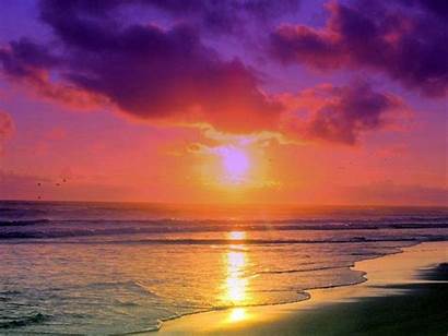 Beach South Florida Miami Beaches Sunset Desktop