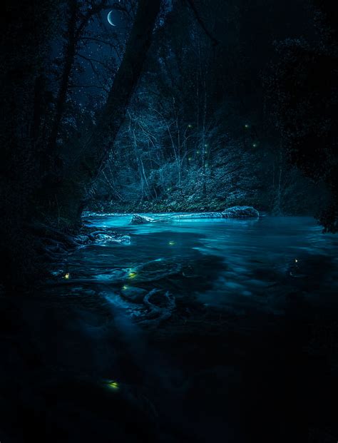 River Stream Fairies Night Forest 4k Hd Wallpaper River At
