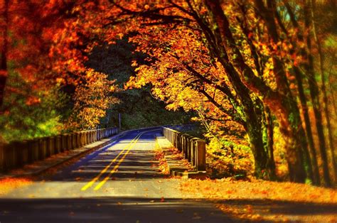 Leaves Fall Colorful Autumn Road Bridge Wallpaper 2048x1358 620507