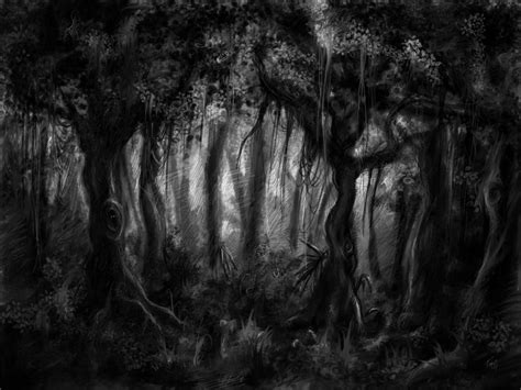 Dark Forest By Artoftas On Deviantart