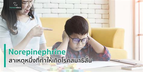 Norepinephrine คืออะไร? | HD สุขภาพดี เริ่มต้นที่นี่