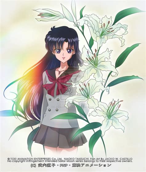 Sailor Mars Sailor Moon 2014 Super Sailor Chibi Moon Sailor Moon Stars Sailor Moon Manga