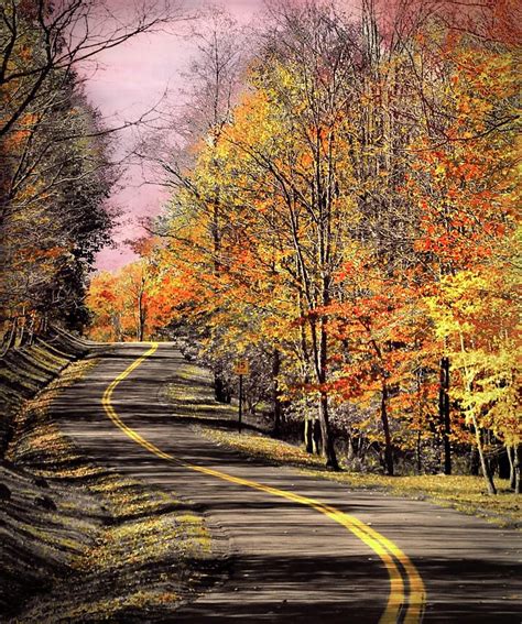 Country Road In Autumn Photograph By Michael Forte