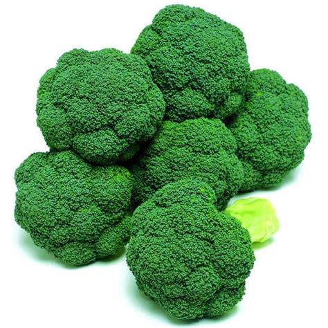 12 Top Performing Broccoli Varieties Growing Produce