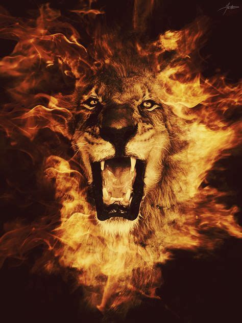 Rawz — Spirit Of Lion Animals Fire Lion Lion Art Y Lion