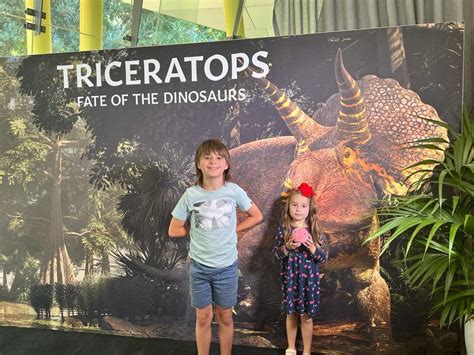 Triceratops Fate Of The Dinosaur Melbourne Museum Mums Little Explorers
