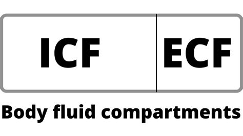 Body Fluid Compartments Part 1 Concepts For Medical Students Youtube