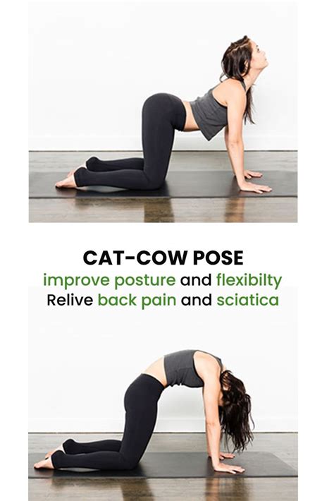 Cat Cow With Band Yoga For Strength And Health From Within