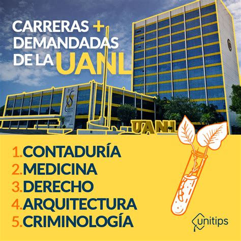 Las 5 Carreras Más Demandadas De La Uanl