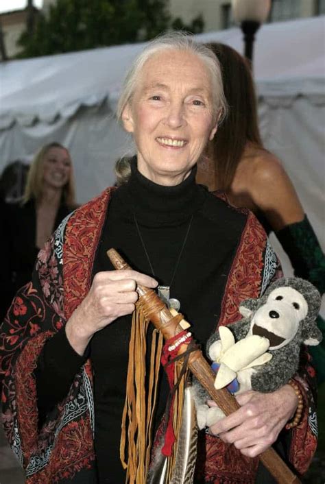 The hope (2020) | as the 60th anniversary of her arrival to the chimpanzee kingdom in gombe approaches, dr. Jane Goodall Exhibit Showcases Her Contributions to ...