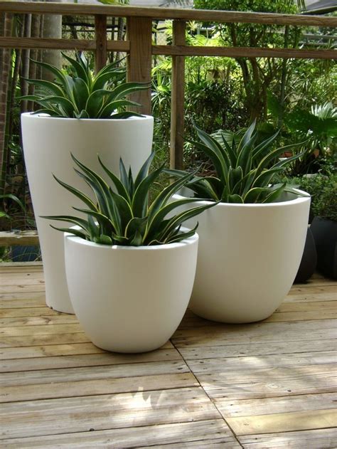Pin By Paula On Home Decor Potted Plants Outdoor Patio Plants