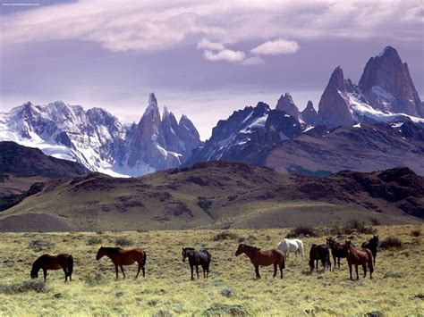 Horseback Riding Glacier Ride Torres Del Paine Magallanes Chile