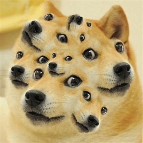 Image 582749 Doge Know Your Meme