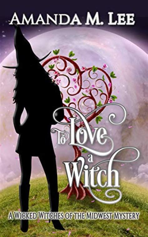 To Love A Witch Wicked Witches Of The Midwest Book 16 Cozy Mystery Book
