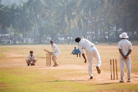 Cricket In The Park Editorial Stock Photo Image Of Place 140157783