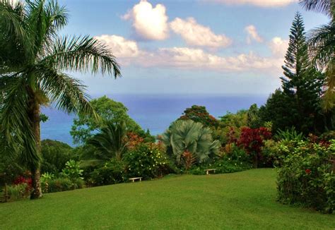This produces new souls, which are then watched over by an angel until they become people. Garden of Eden, Maui - Hawaii Pictures