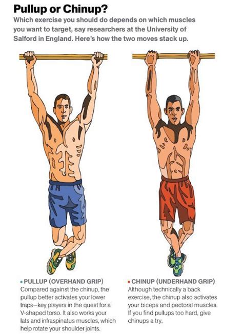 Pull Ups Muscle Gain