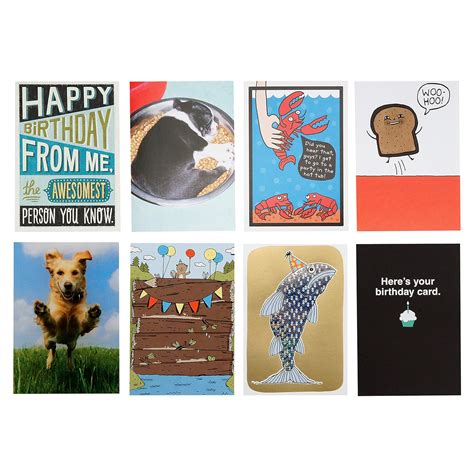 Hallmark Shoebox Funny Birthday Card Assortment 8 Cards With Envelopes