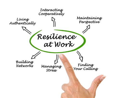 Resilience A High Reliability Organization Principle
