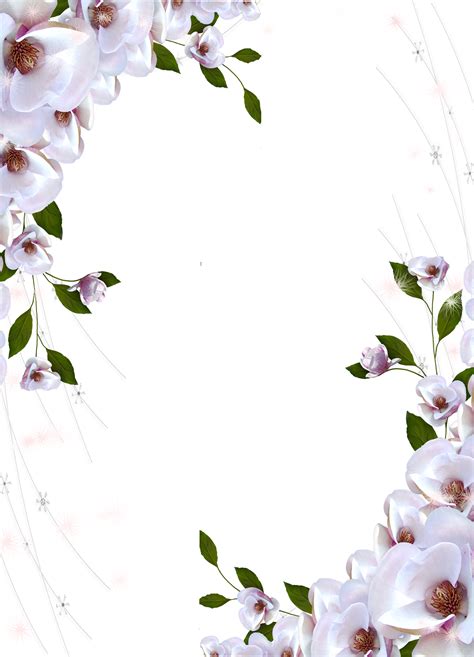 Transparent Photo Frame Beautiful Flowers | Flower frame, Beautiful flowers, Flowers