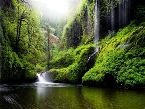 Download Waterfall River Forest Nature Photography Wallpaper