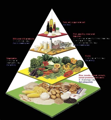 Zat makanan disebut juga biomolekul karena merupakan senyawa atau molekul kimia yang dibutuhkan untuk dapat hidup dengan baik (bio = hidup. TWT_atkindiet | on Twitter: "Gambar dlm piramid makanan ...