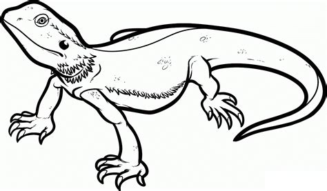 Snubberx Free Lizard Coloring Sheets