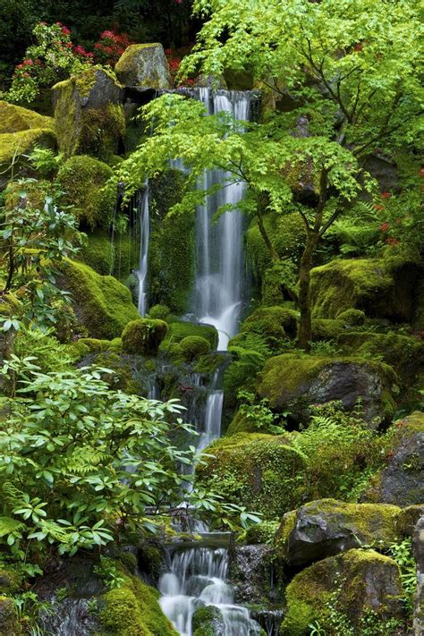 Jul 27, 2021 · tucked into the scenic west hills of portland, above washington park and near the international rose test garden, the portland japanese garden is a haven of meticulously maintained, tranquil beauty. portland japanese garden, oregon | Scenic waterfall