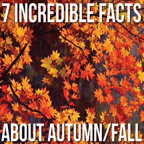 7 Incredible Facts About Autumnfall