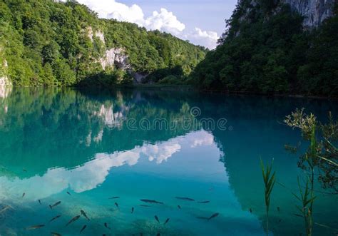 Lake With Clear Turquoise Water National Park Plitvice Lakes C Stock
