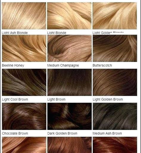 Light Brown Hair Color Chart Fooru Me Clairol Relaunches