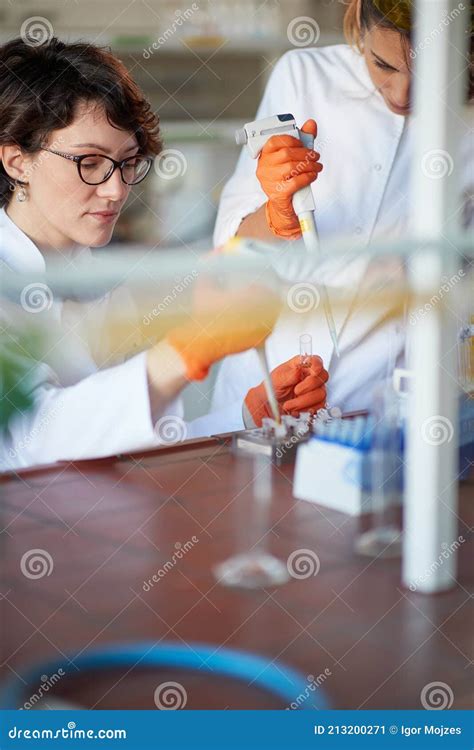 A Young Female Students Working With Pipettes In A Laboratory Science