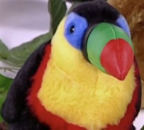 Bird Keel Toucan The True Baby Einstein Wiki Fandom